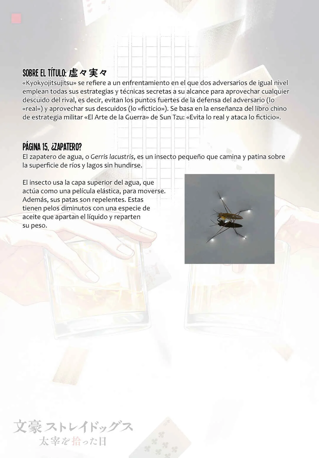 Bungou Stray Dogs: Dazai wo Hirotta Hi Capítulo 3: Lo real y lo ficticio - Page 37