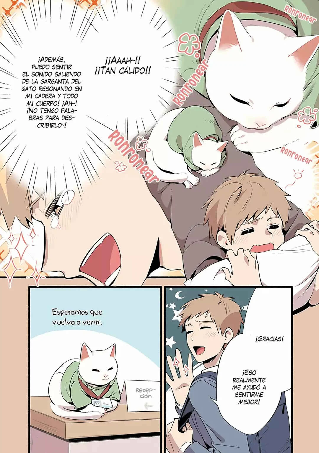 Cat Massage Therapy Capítulo 1 - Page 7