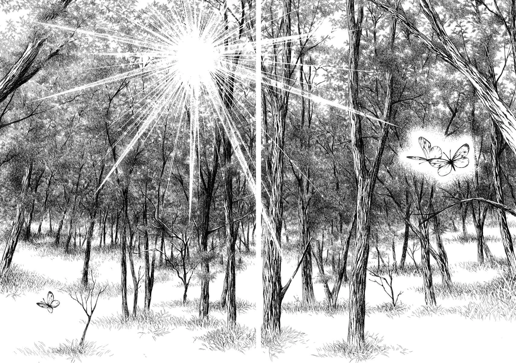 Chinatsu's Voice Capítulo 2: Jardín Secreto - Page 12