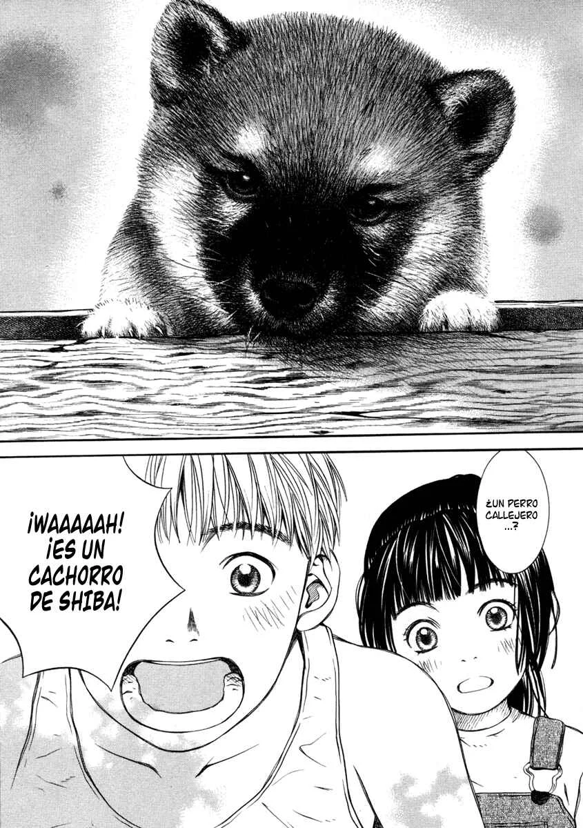 Chinatsu's Voice Capítulo 3: Flor de Hibisco - Page 5