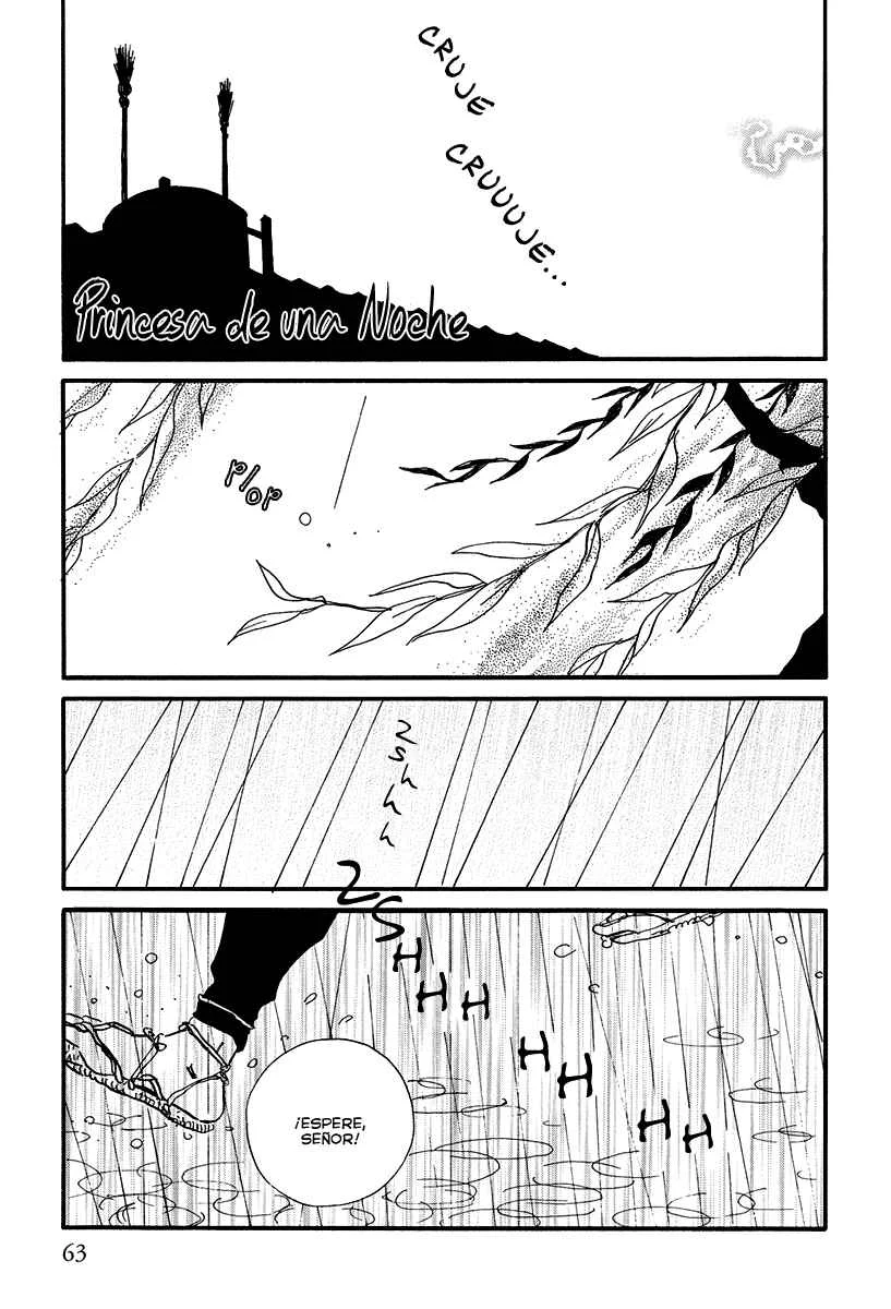 Chiruhi Capítulo 3: Princesa por una noche - Page 3