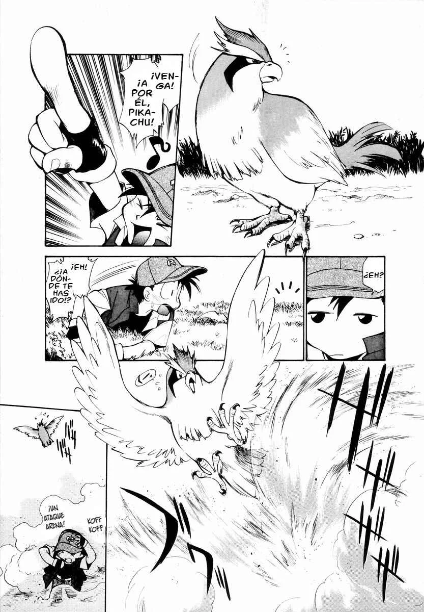 Electric Tale! Pikachu Capítulo 1: Pikachu - Page 13
