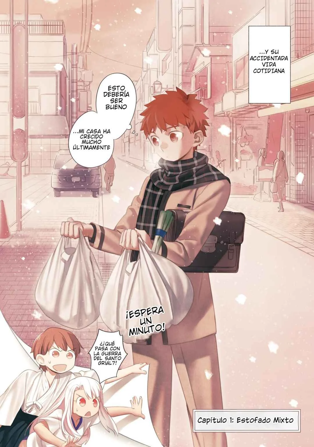 Emiya-san Chi no Kyou no Gohan Capítulo 1: Estofado caliente mixto  - Page 6
