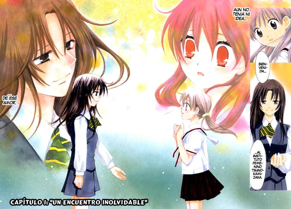 Hatsukoi Shimai Capítulo 1: Un encuentro inolvidable - Page 8