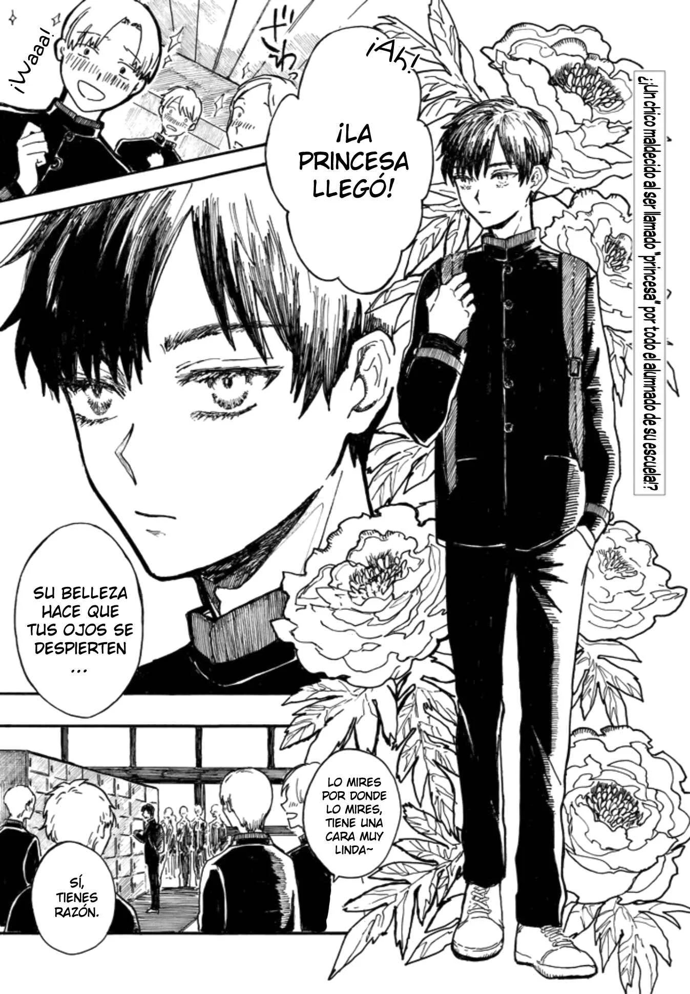 Himeno-kun wa Hime ni Naritakunai Capítulo 1: Oneshot - Page 2