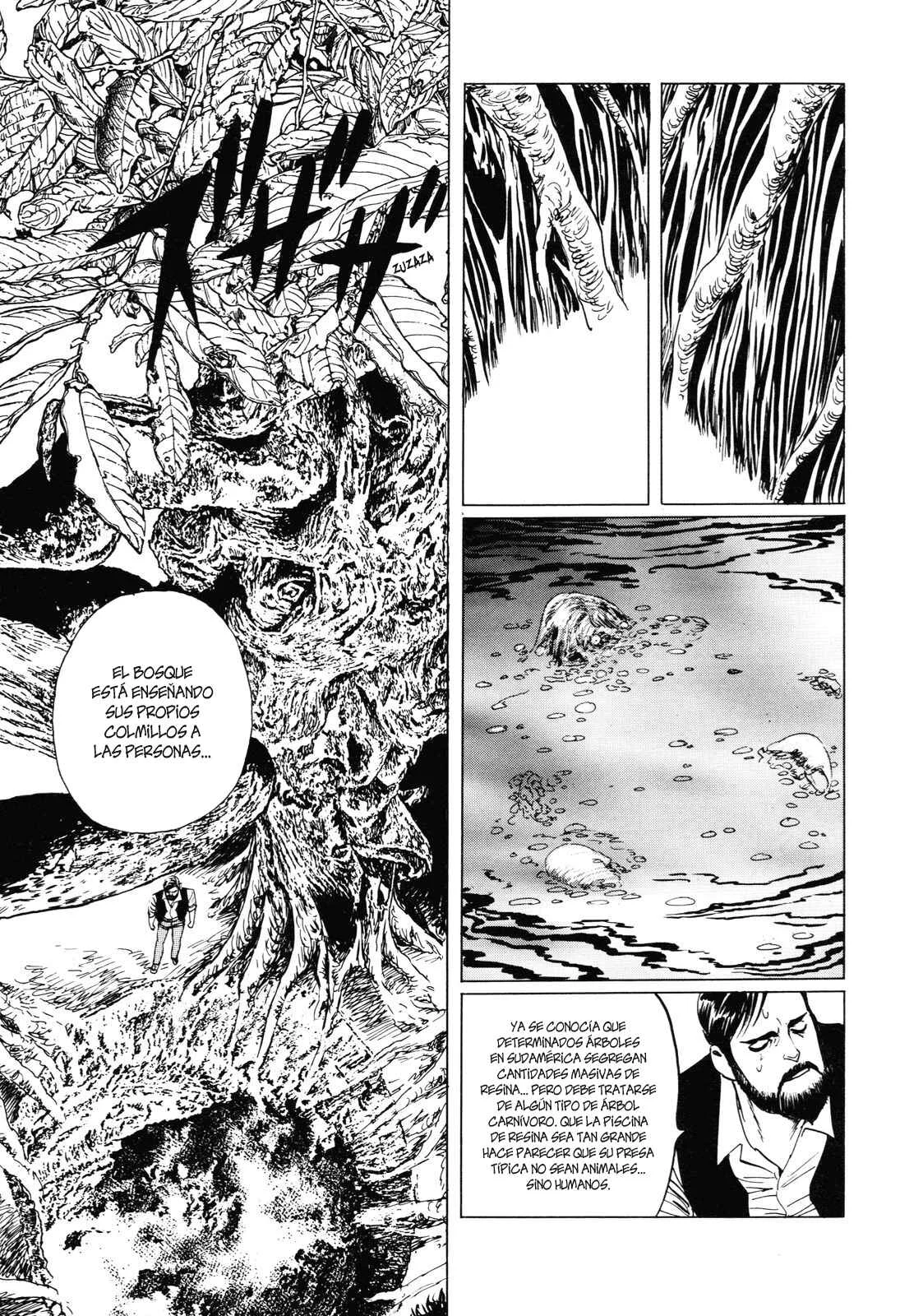 Horobishi Kemonotachi no Umi Capítulo 4: Erupción - Page 35