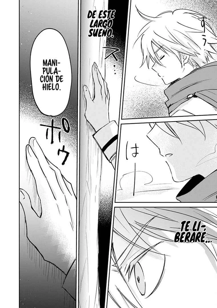 Hyouketsukei Koso Saikyou desu! ~Chiisakute Kawaii Shishou to Kekkon suru Tame ni Saikyou no Majutsushi wo Mezashimasu~ Capítulo 2 - Page 28