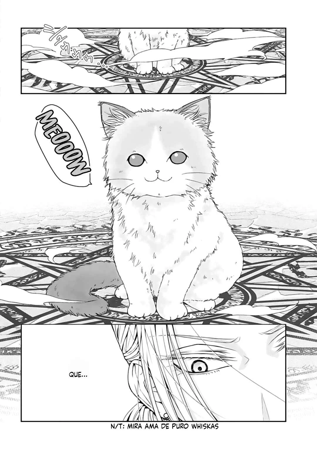 Isekai kara Yuusha o Shoukan Shitara Neko deshita Capítulo 1 - Page 13