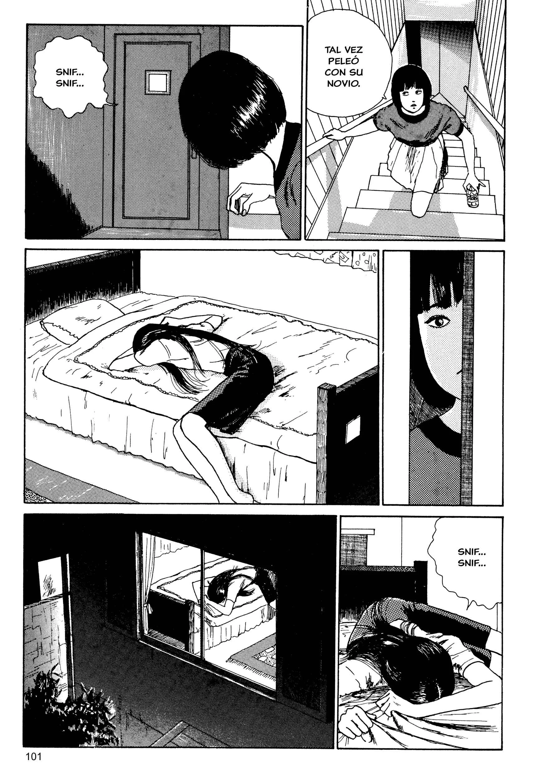 Junji Ito Horror Manga Collection Capítulo 5: El Cabello Largo en el Ático - Page 9