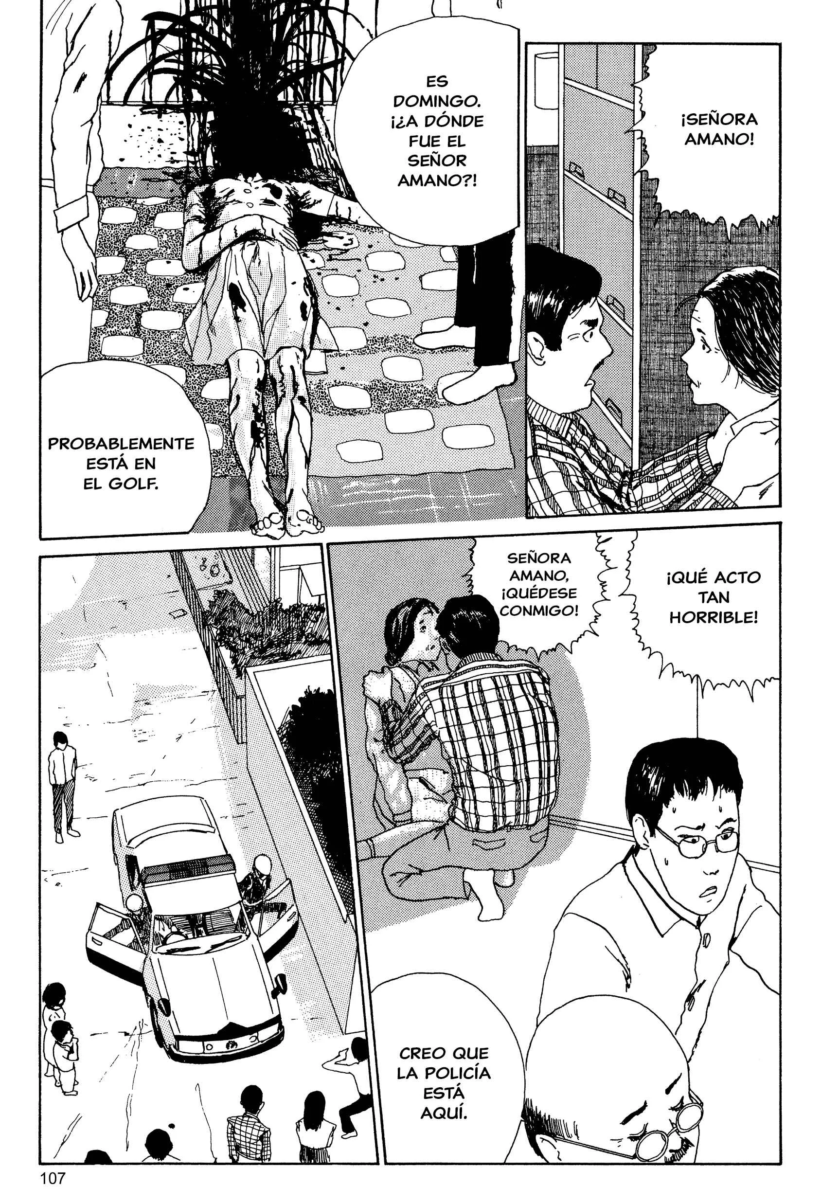 Junji Ito Horror Manga Collection Capítulo 5: El Cabello Largo en el Ático - Page 15