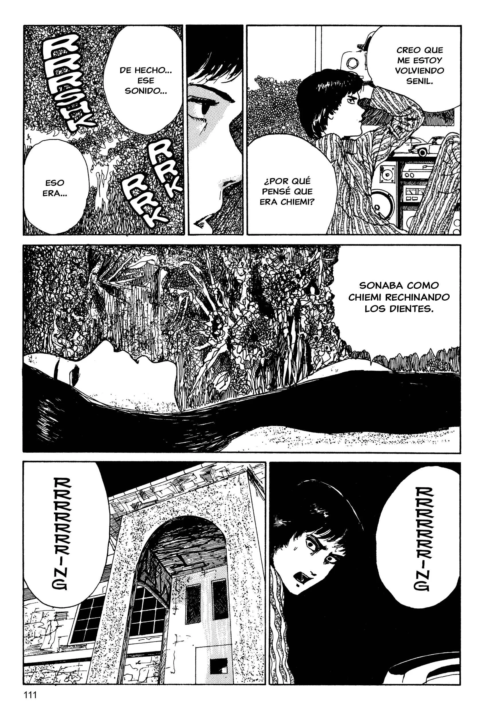 Junji Ito Horror Manga Collection Capítulo 5: El Cabello Largo en el Ático - Page 19