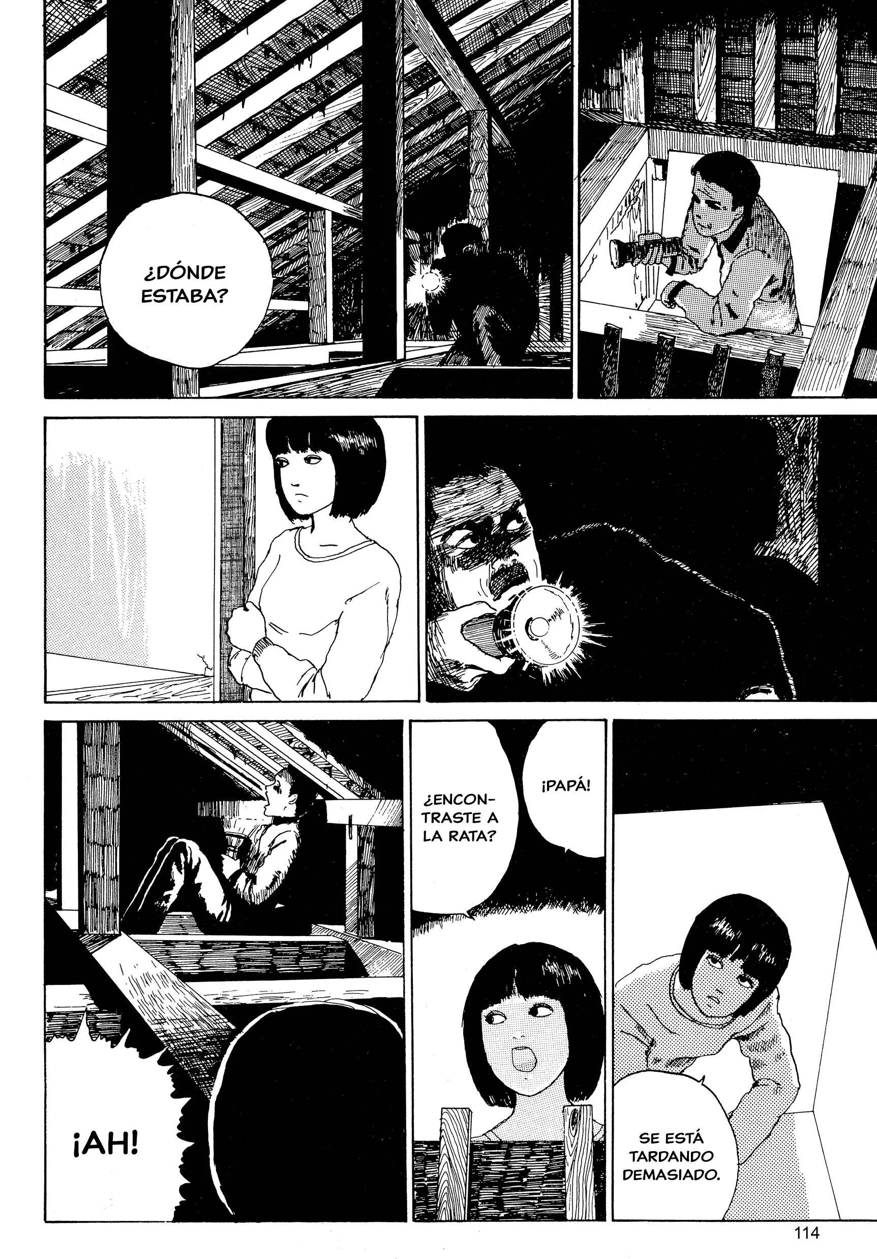 Junji Ito Horror Manga Collection Capítulo 5: El Cabello Largo en el Ático - Page 22