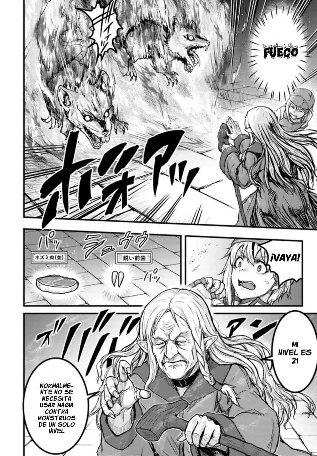 Kakure Tensei Yuusha ~Cheat Skill to Yuusha Job wo Kakushite Daini no Jinsei wo Tanoshindeyaru!~ Capítulo 3 - Page 17