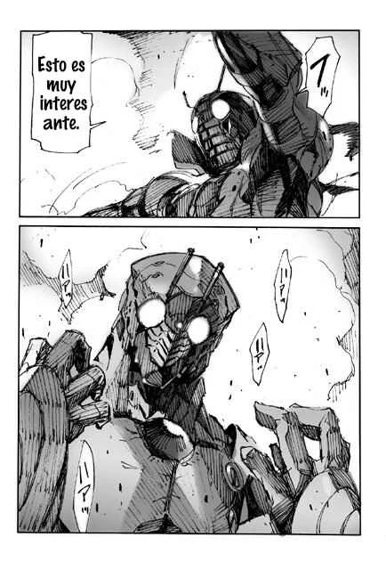 Kamen Rider - Hybrid Insector (Doujinshi) Capítulo 2 - Page 30