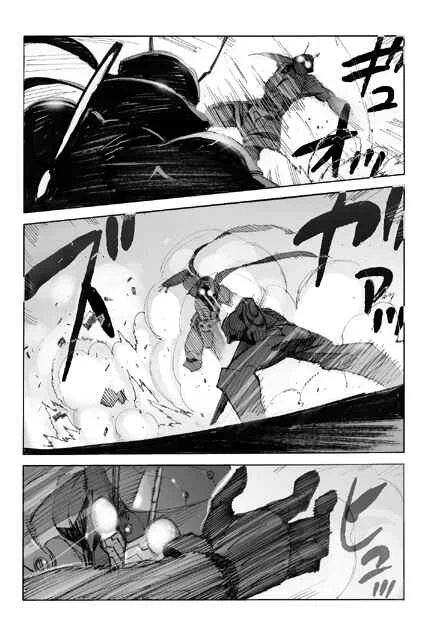 Kamen Rider - Hybrid Insector (Doujinshi) Capítulo 3 - Page 7