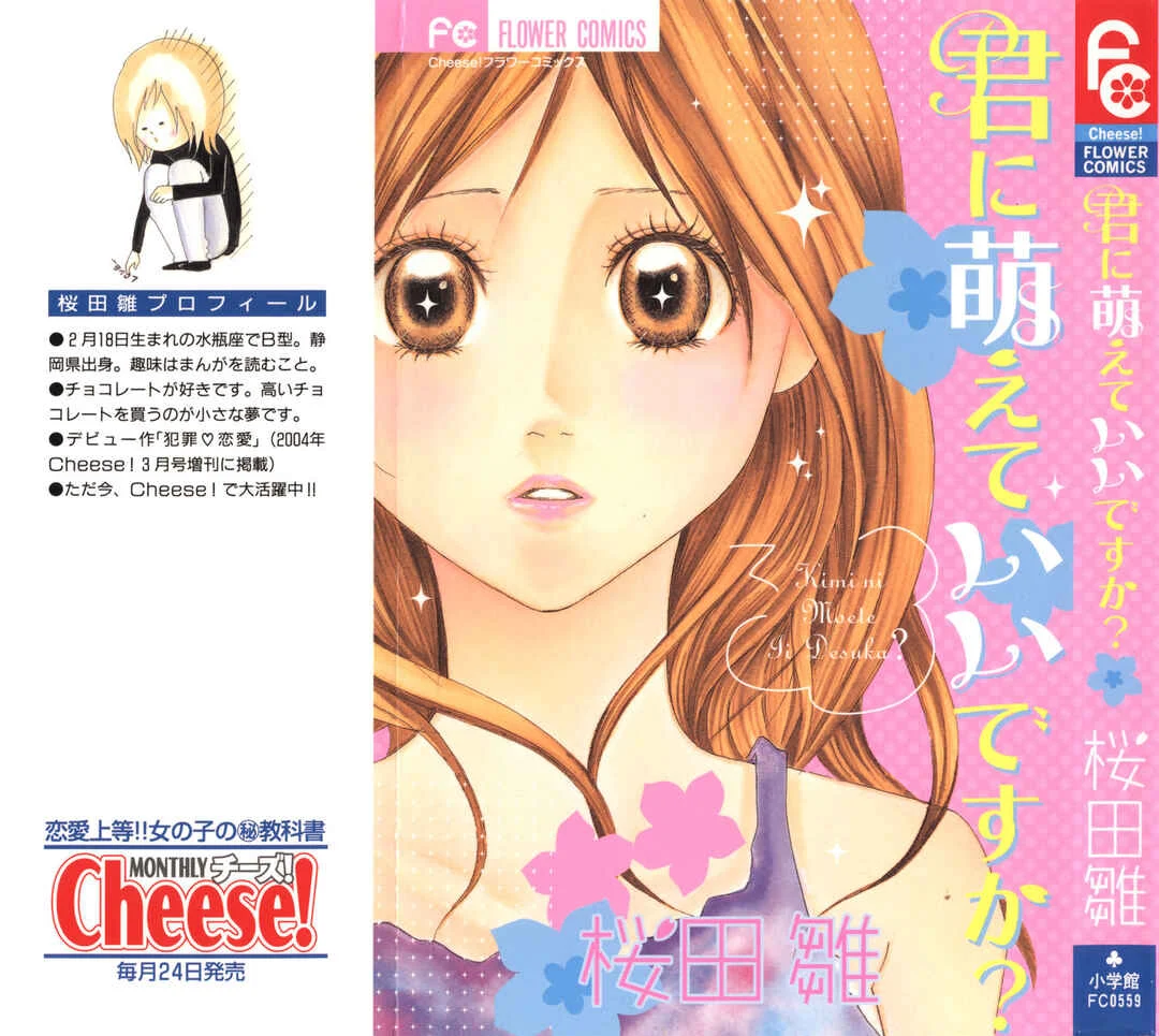Kimi ni Moete Ii Desu ka Capítulo 1 - Page 2