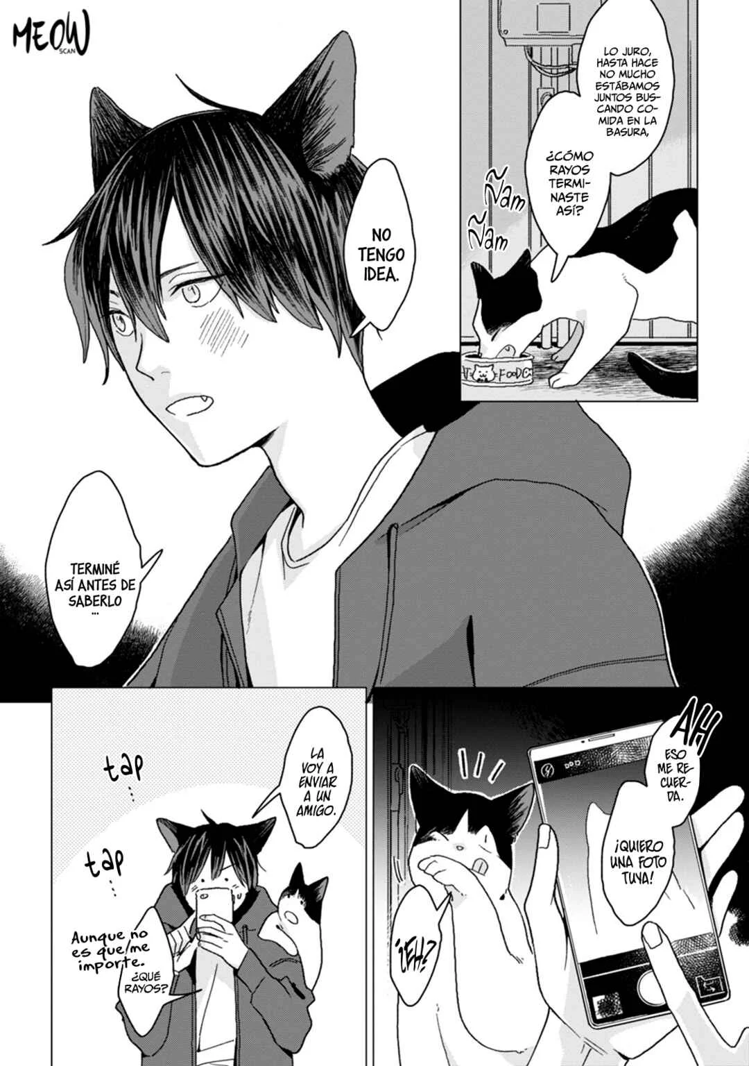 Koisuru Neko wa Naderaretai Capítulo 1 - Page 13