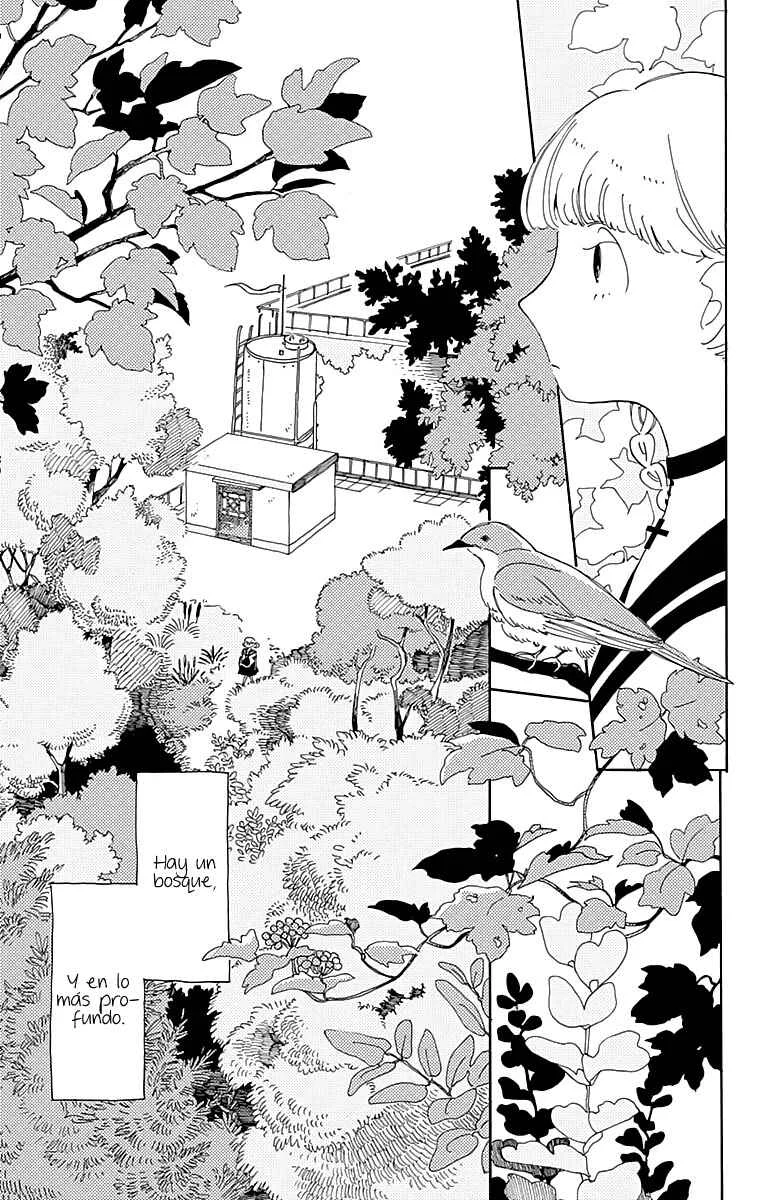 Kokage-kun Bewitched Capítulo 1 - Page 8