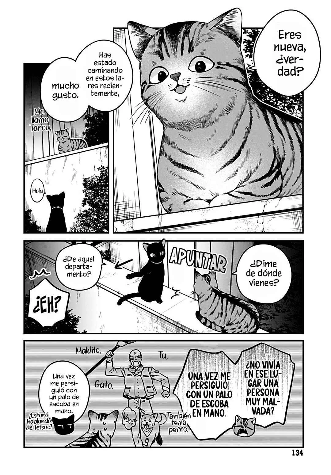 Mii-chan wa Kawaretai Capítulo 5 - Page 4