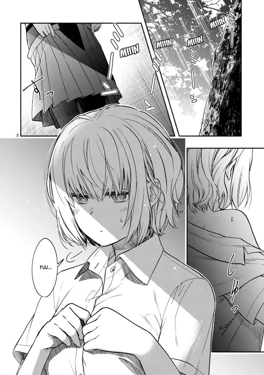 Miseru, Mitsumeru, Futari Dake Capítulo 4 - Page 3