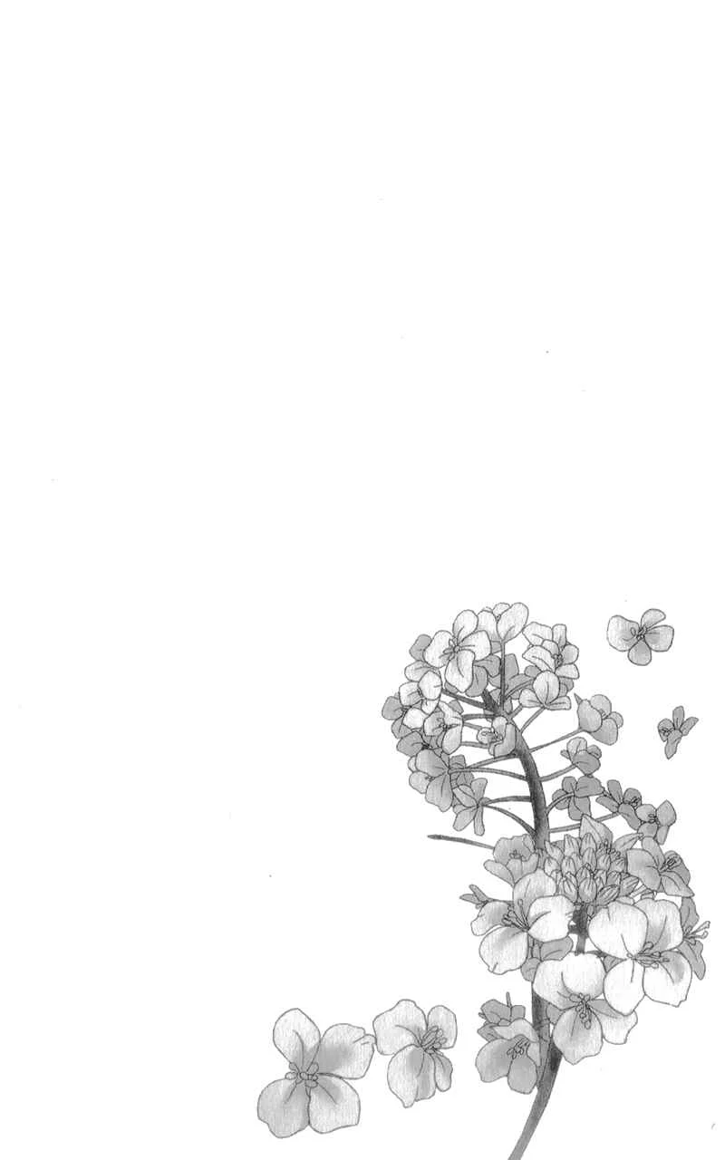 Nanoka no Kare Capítulo 4 - Page 5
