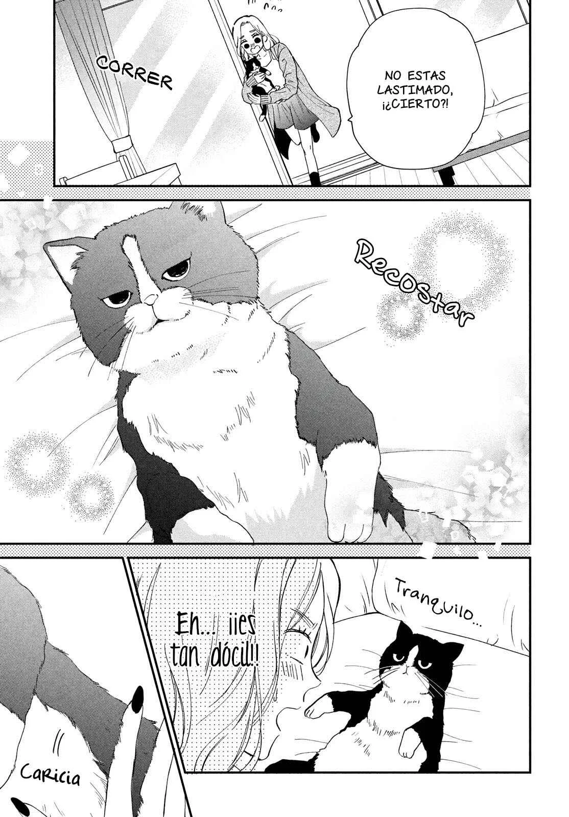 Neko to Kiss Capítulo 1: El Gato y la Reina - Page 11