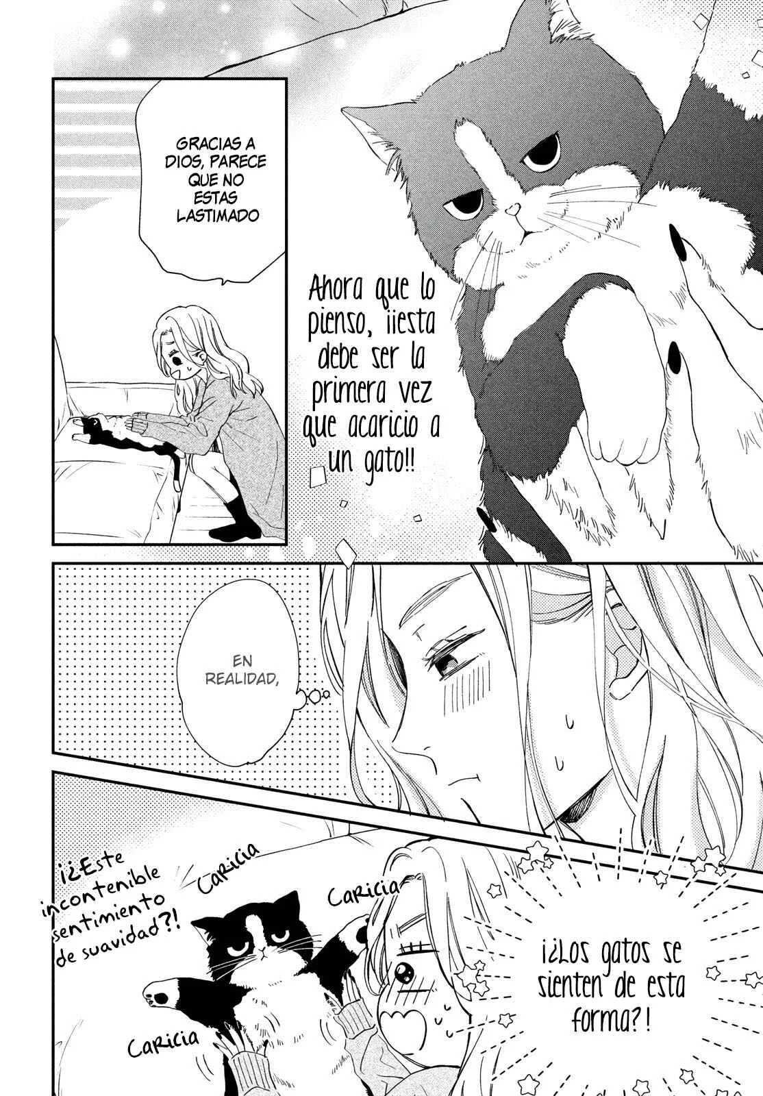 Neko to Kiss Capítulo 1: El Gato y la Reina - Page 12