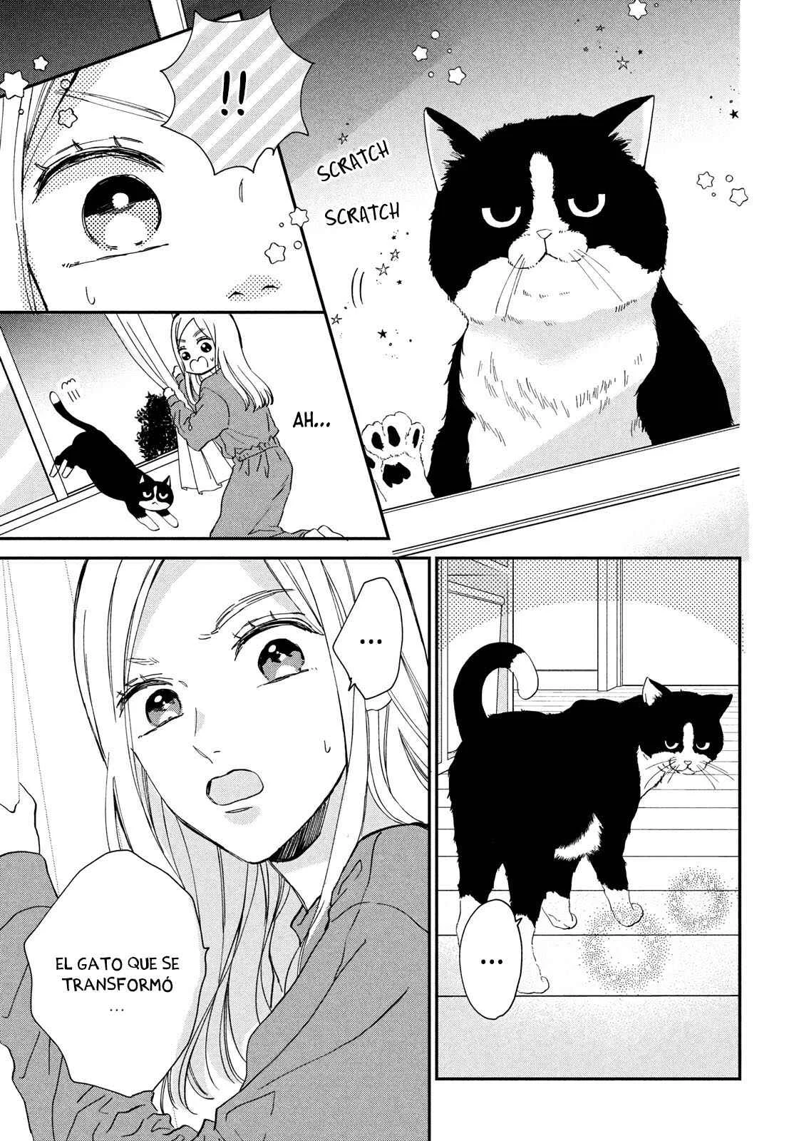 Neko to Kiss Capítulo 1: El Gato y la Reina - Page 19