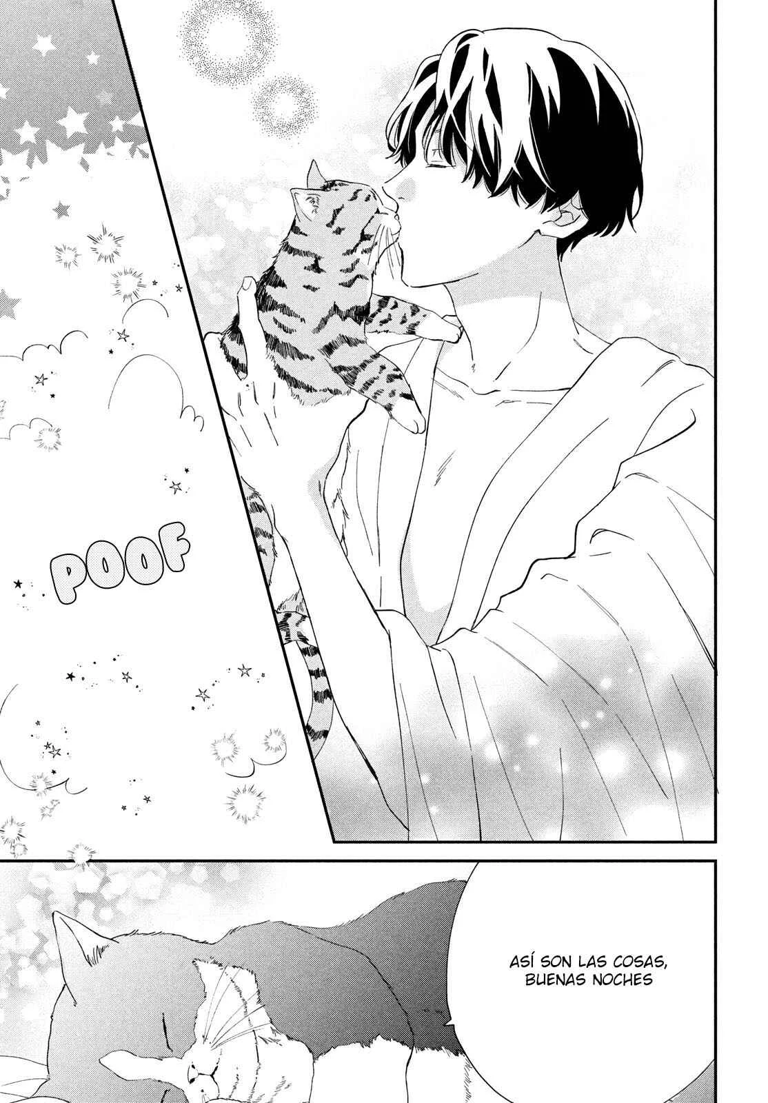 Neko to Kiss Capítulo 1: El Gato y la Reina - Page 31