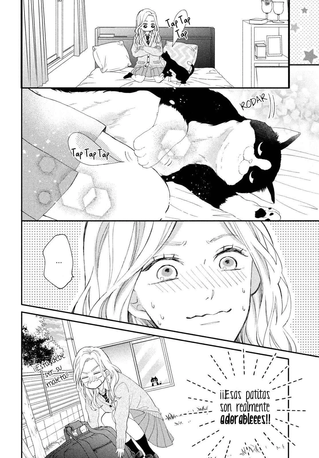 Neko to Kiss Capítulo 2: El Gato y su Presa - Page 19