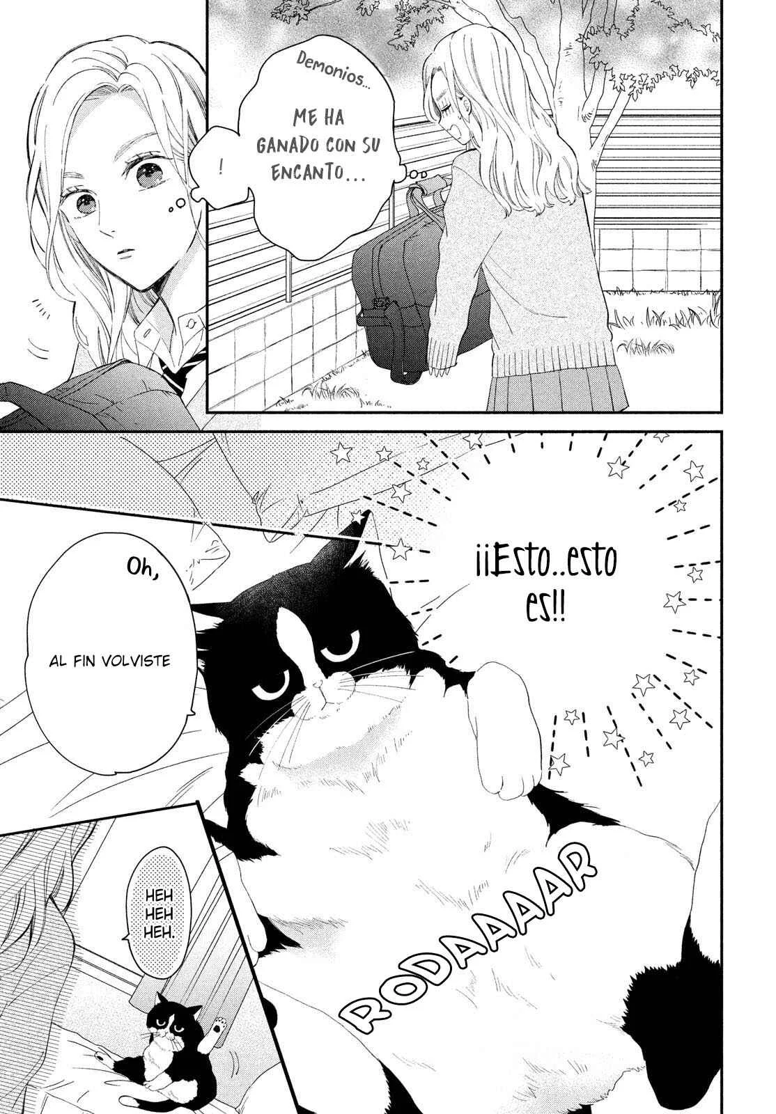 Neko to Kiss Capítulo 2: El Gato y su Presa - Page 20