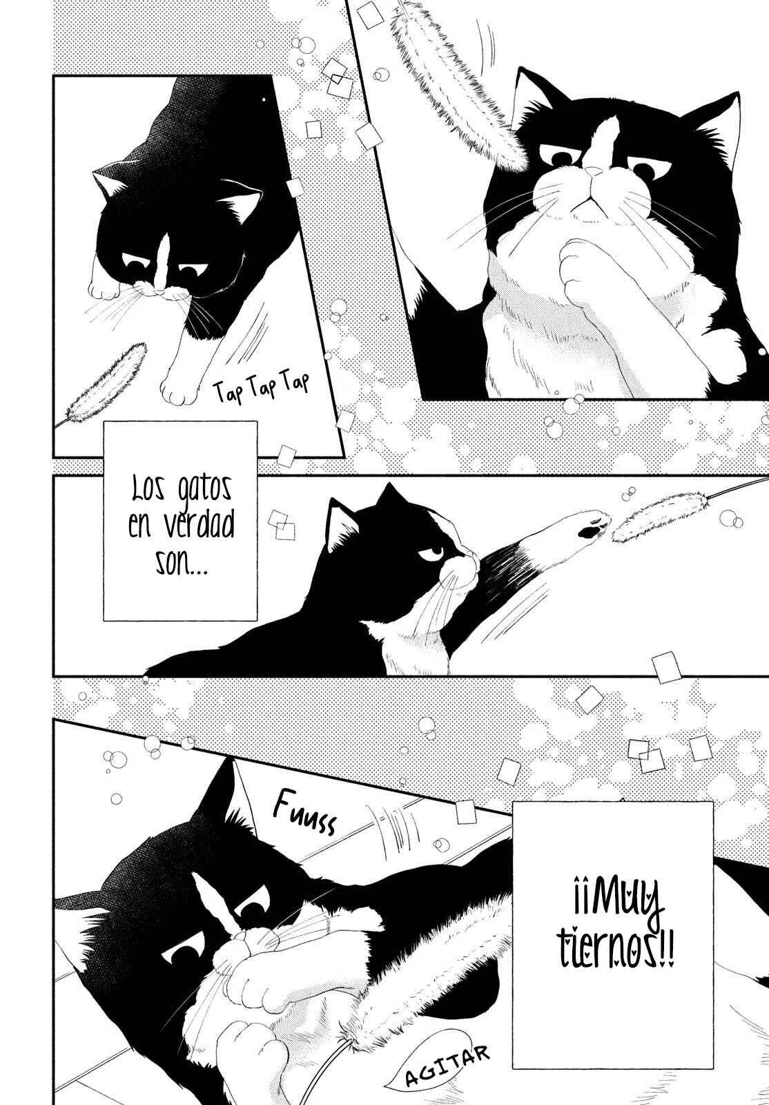 Neko to Kiss Capítulo 2: El Gato y su Presa - Page 25