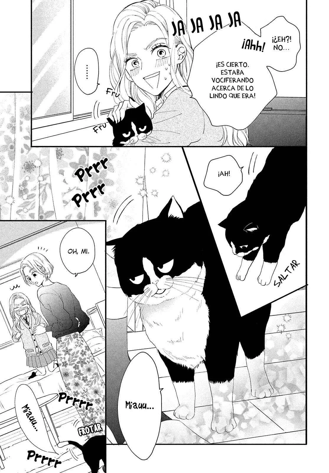 Neko to Kiss Capítulo 3: Viviendo con un gato - Page 8