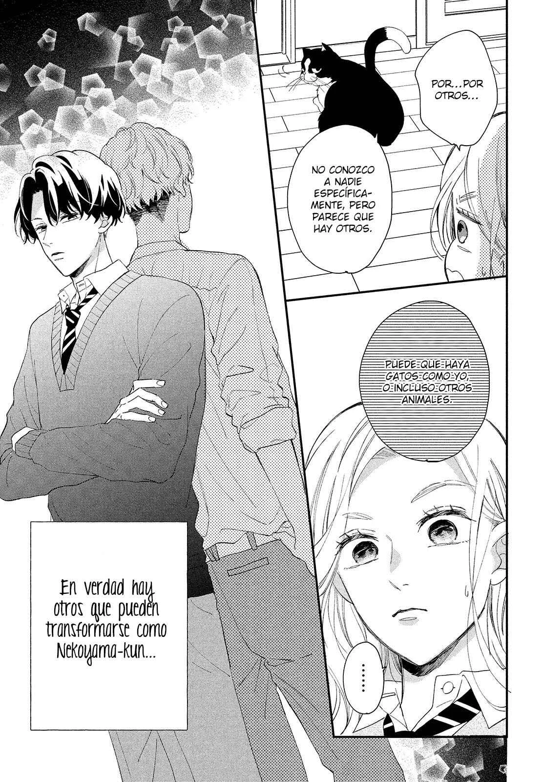Neko to Kiss Capítulo 3: Viviendo con un gato - Page 16