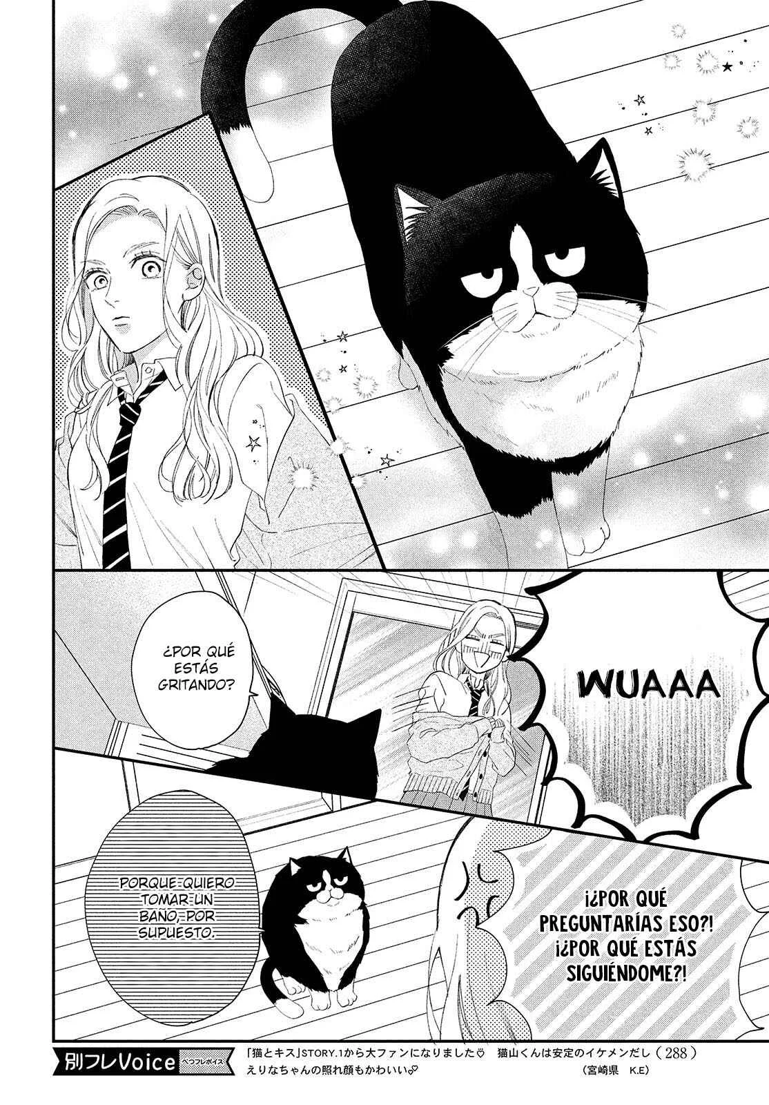 Neko to Kiss Capítulo 3: Viviendo con un gato - Page 19