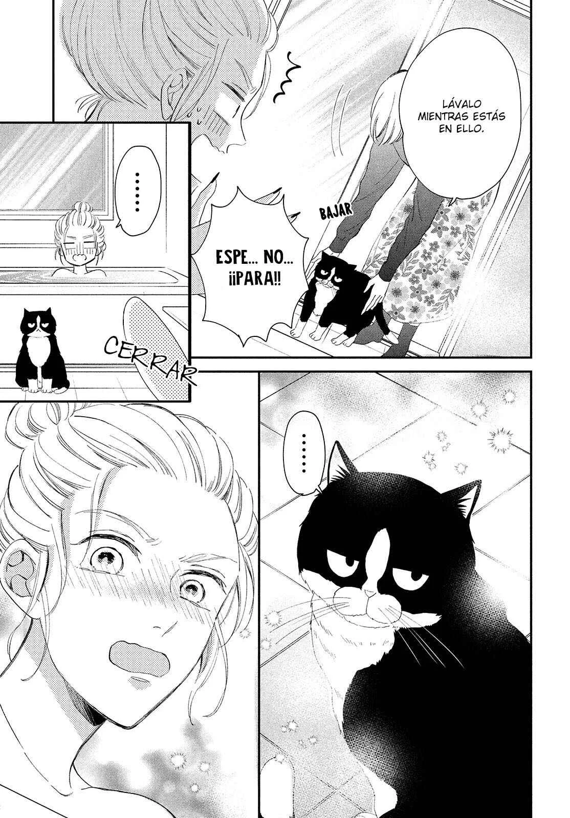 Neko to Kiss Capítulo 3: Viviendo con un gato - Page 22