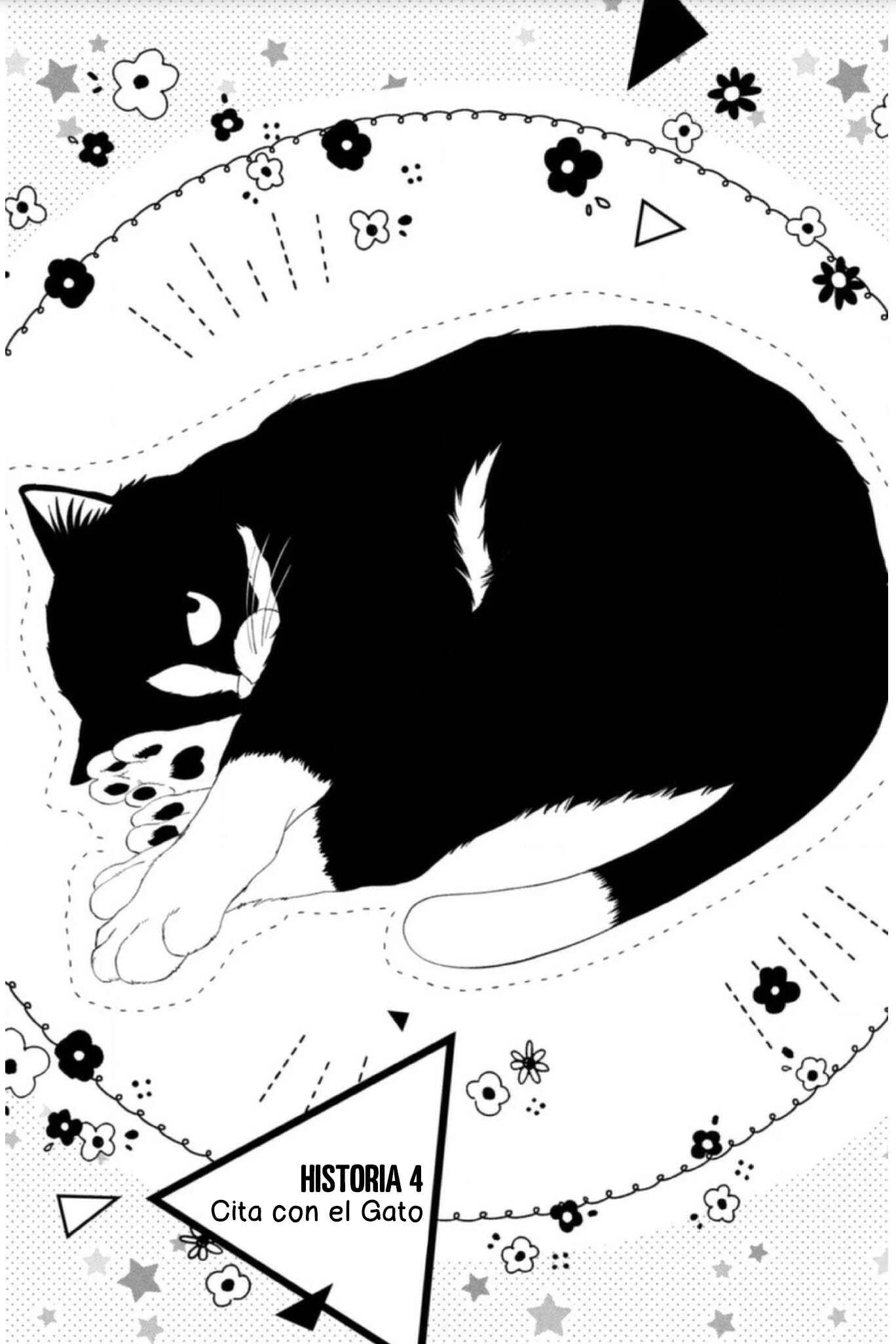 Neko to Kiss Capítulo 4: Salida con un Gato - Page 4