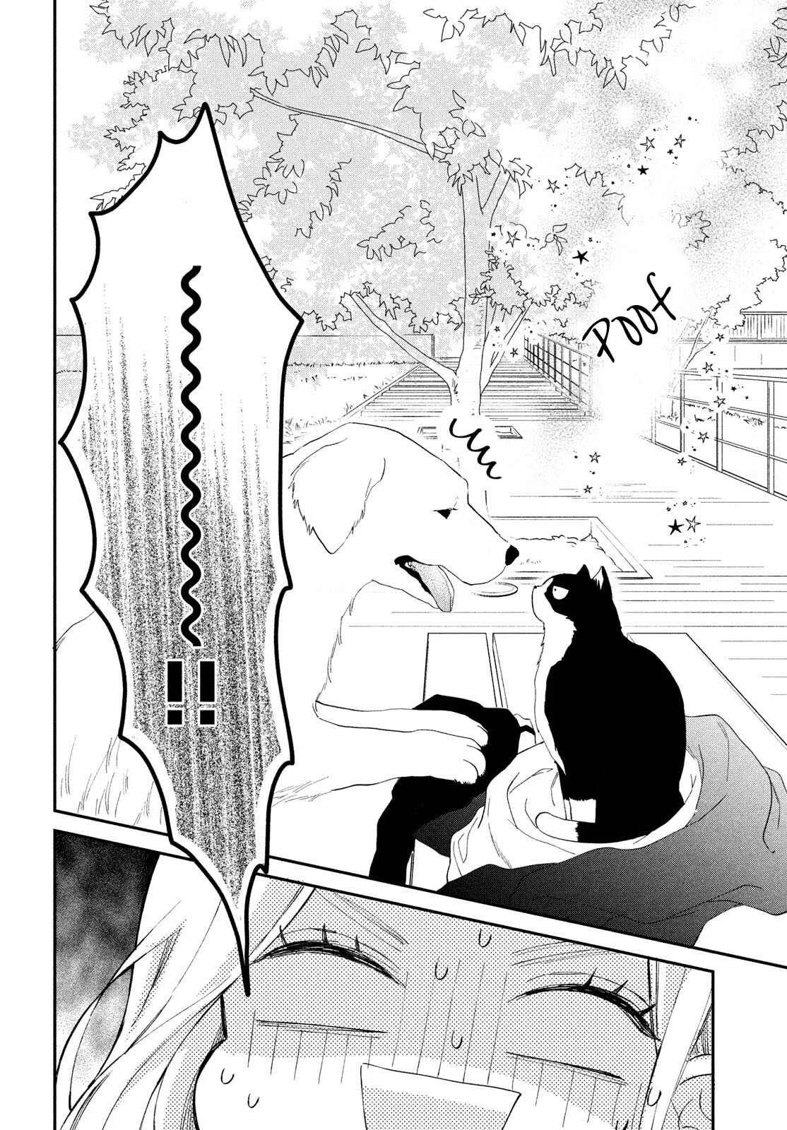 Neko to Kiss Capítulo 4: Salida con un Gato - Page 21