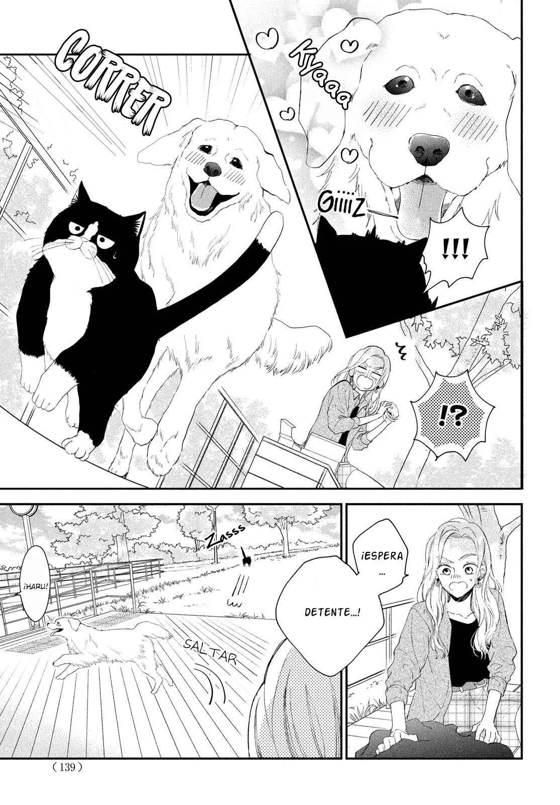 Neko to Kiss Capítulo 4: Salida con un Gato - Page 22