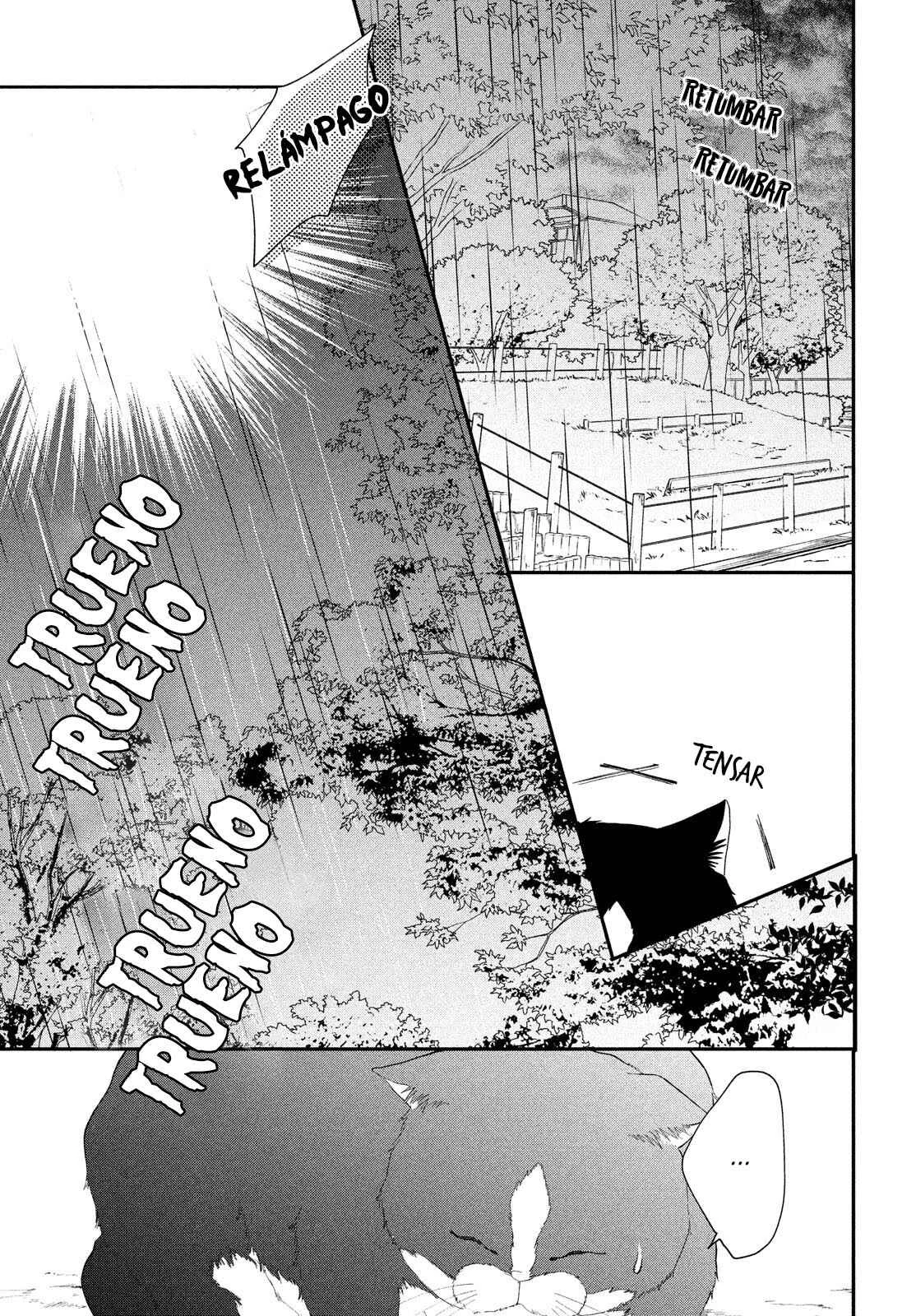Neko to Kiss Capítulo 4: Salida con un Gato - Page 28