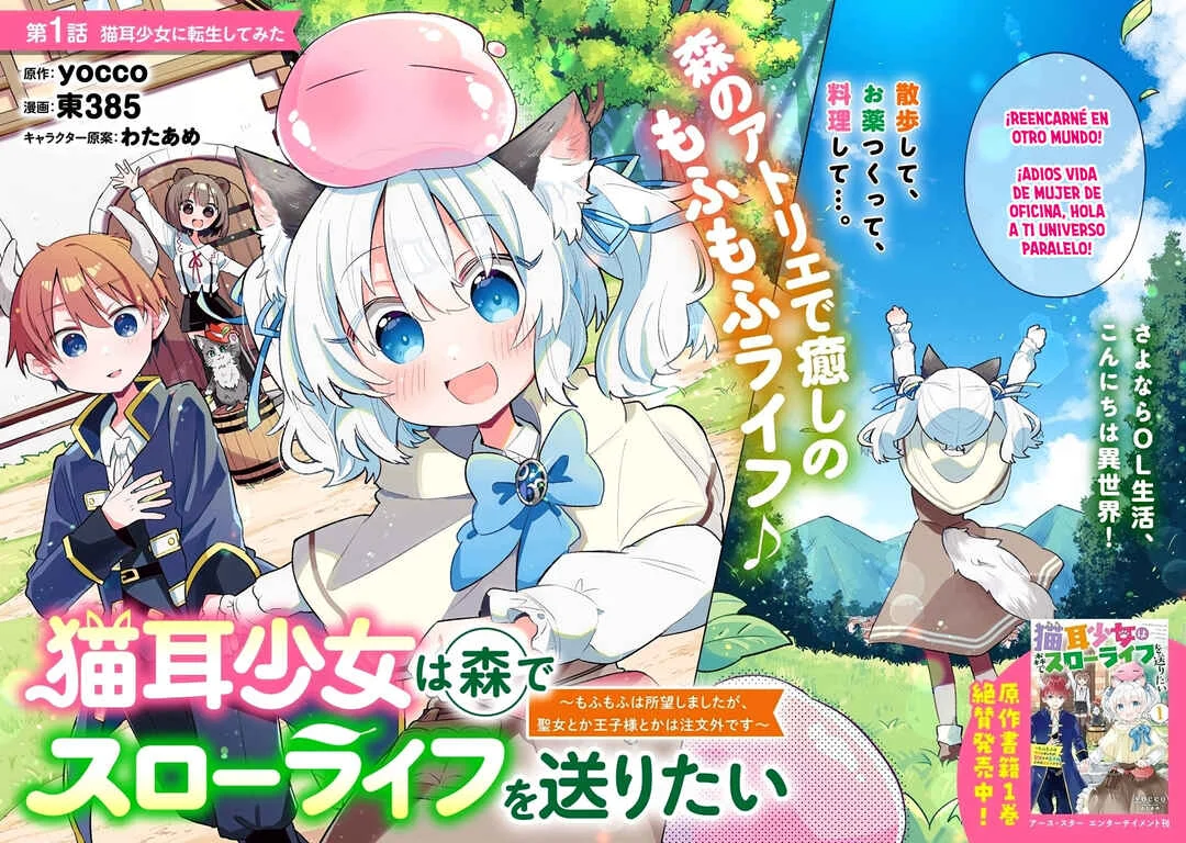 Nekomimi Shoujo wa Mori de Slow Life wo Okuritai ~Mofumofu wa Shomou Shimashita ga, Seijo to ka Ouji-sama to ka wa Chuumongai desu~ Capítulo 1: La historia de mi reencarnación como chica gato - Page 2