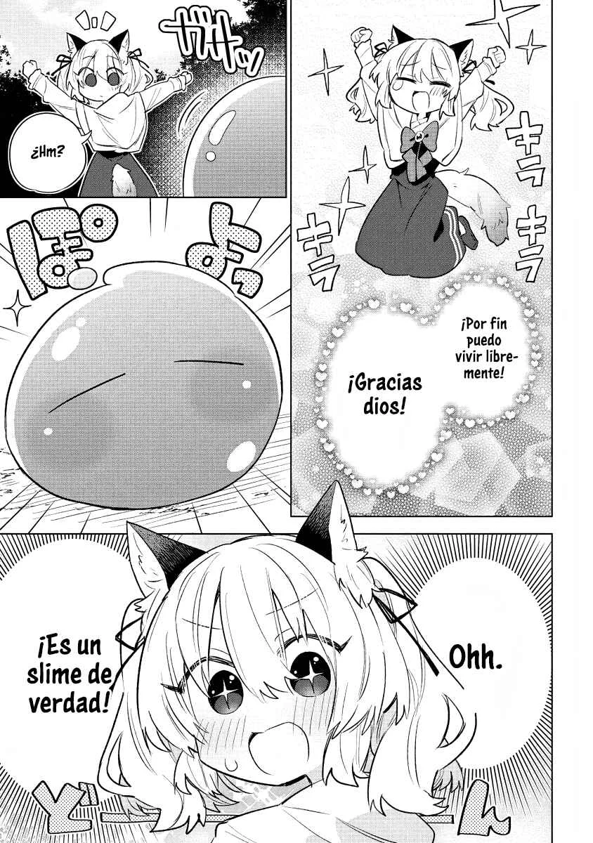 Nekomimi Shoujo wa Mori de Slow Life wo Okuritai ~Mofumofu wa Shomou Shimashita ga, Seijo to ka Ouji-sama to ka wa Chuumongai desu~ Capítulo 1: La historia de mi reencarnación como chica gato - Page 12