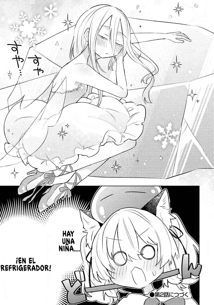 Nekomimi Shoujo wa Mori de Slow Life wo Okuritai ~Mofumofu wa Shomou Shimashita ga, Seijo to ka Ouji-sama to ka wa Chuumongai desu~ Capítulo 1: La historia de mi reencarnación como chica gato - Page 29