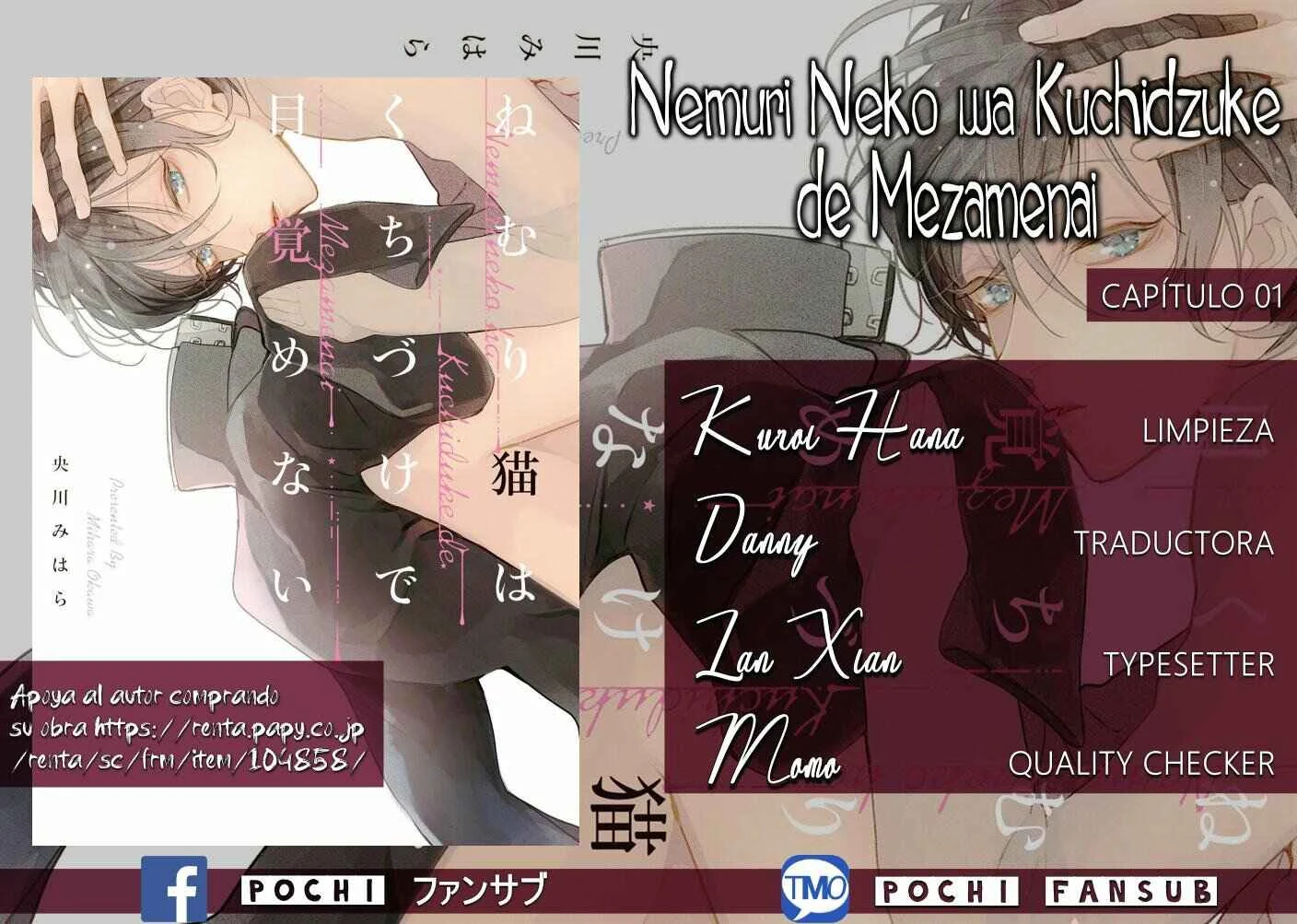 Nemuri Neko wa Kuchizuke de Mezamenai Capítulo 1 - Page 2