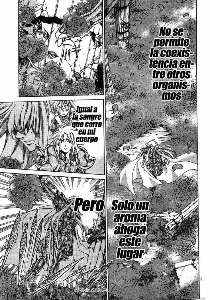 Saint Seiya: The Lost Canvas Gaiden Capítulo 1: Soledad - Page 26