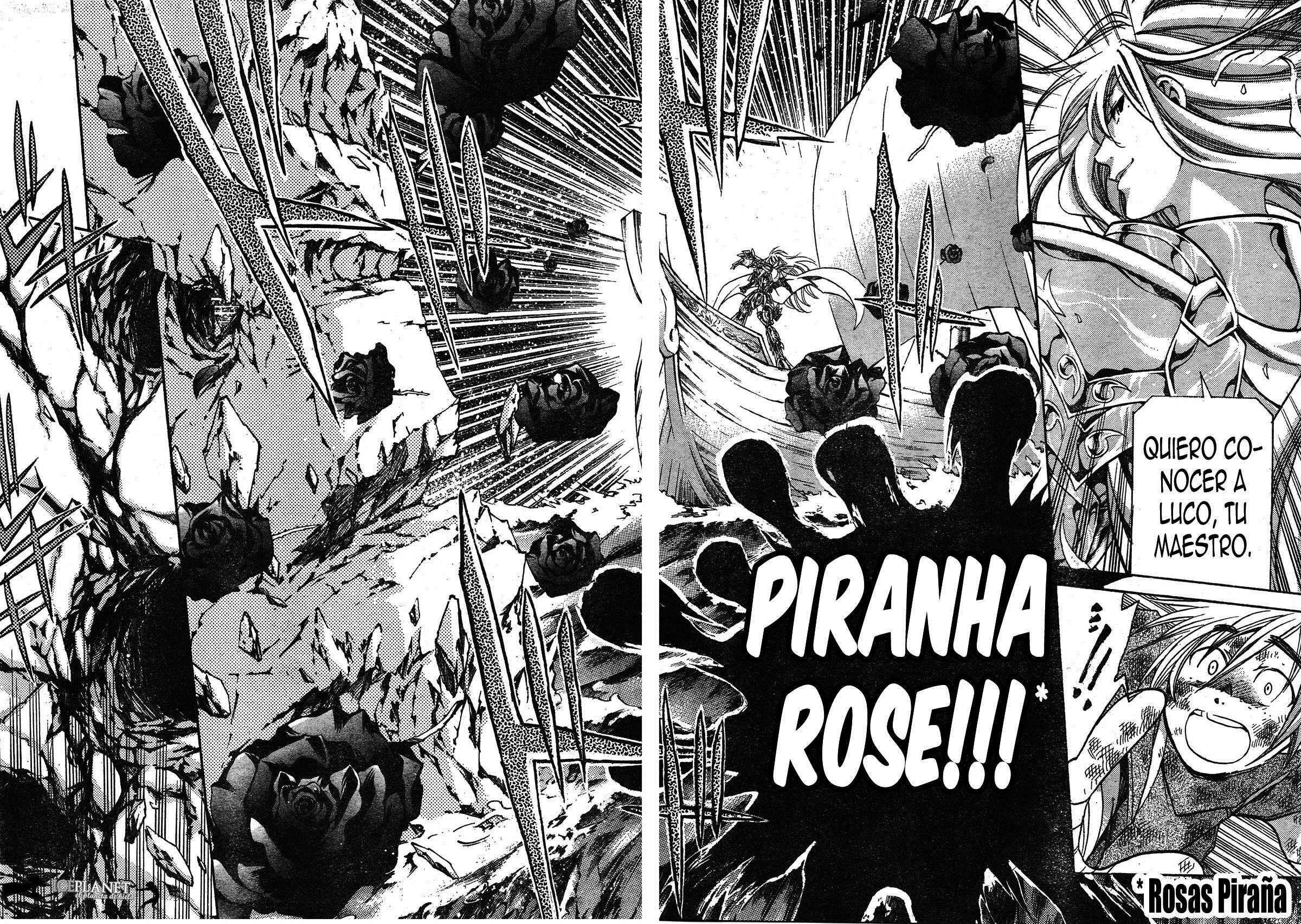Saint Seiya: The Lost Canvas Gaiden Capítulo 2: Albafica - Page 12