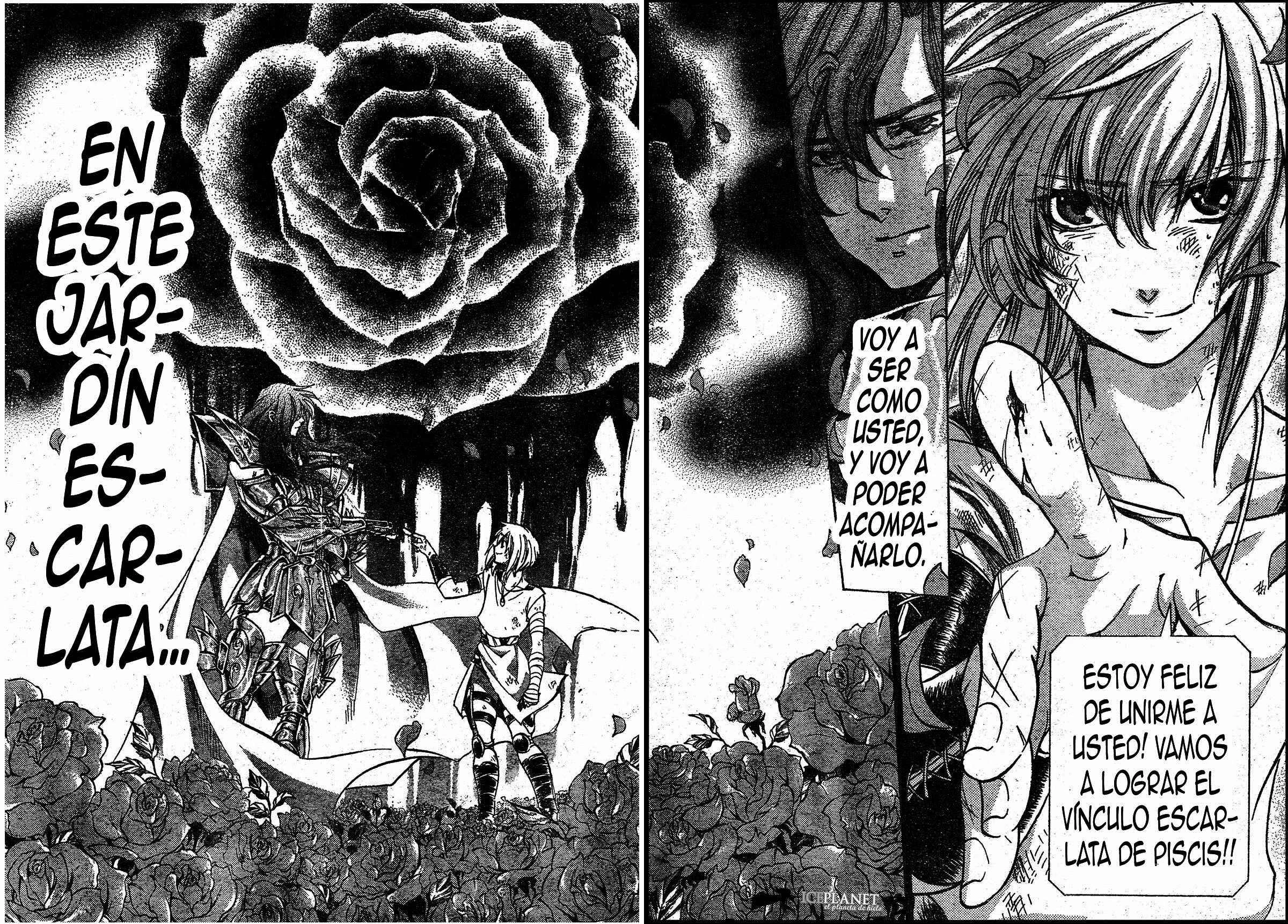 Saint Seiya: The Lost Canvas Gaiden Capítulo 4: Vinculo Blanco - Page 17