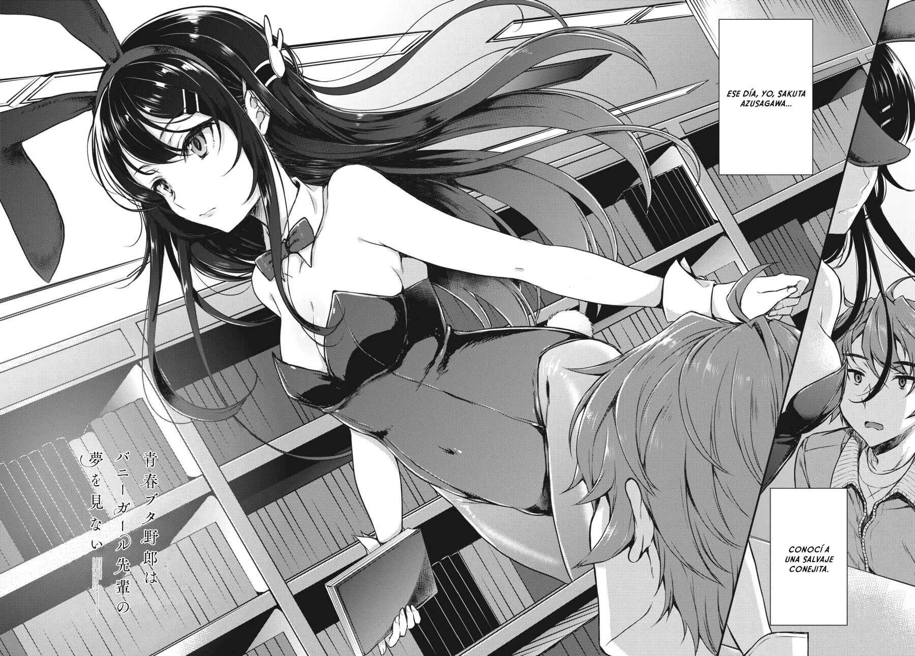 Seishun Buta Yarou wa Bunny Girl Senpai no Yume o Minai Capítulo 1: 1 - Page 4