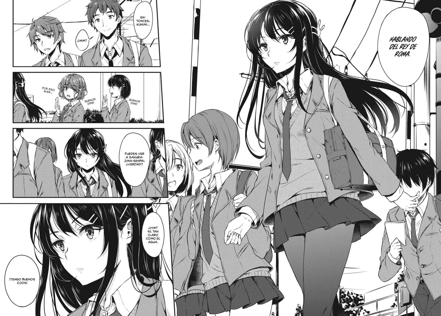 Seishun Buta Yarou wa Bunny Girl Senpai no Yume o Minai Capítulo 1: 1 - Page 19