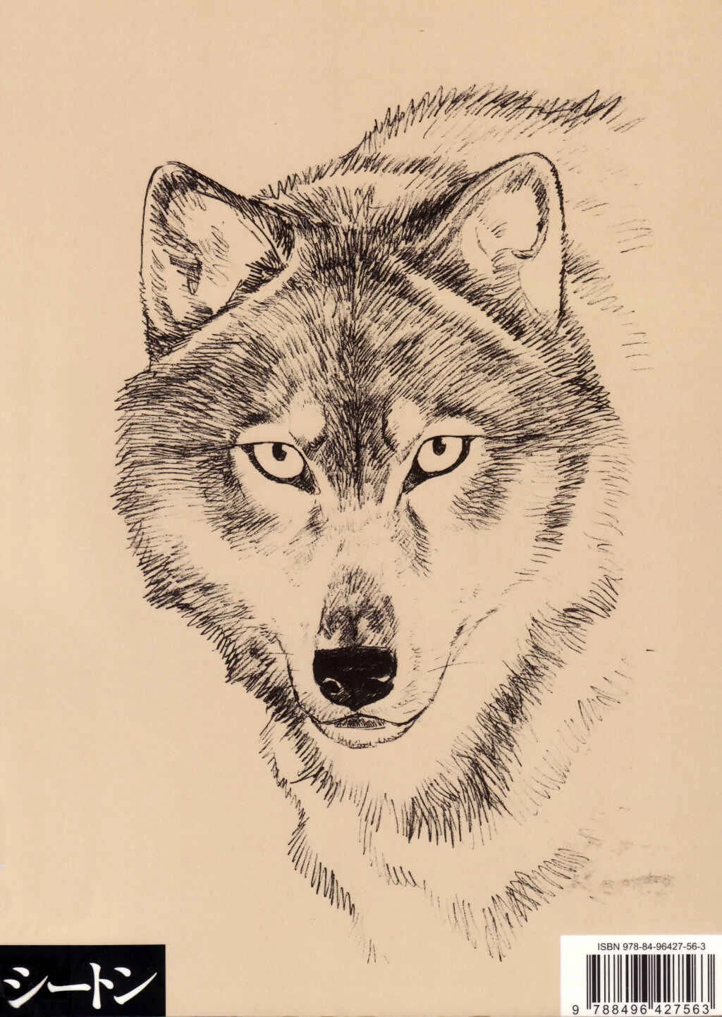 Seton Capítulo 1: La Manada de Los Lobos de Currumpaw - Page 2